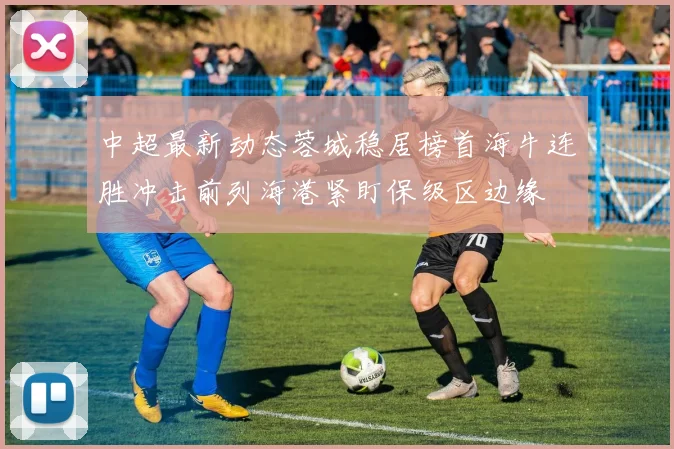 中超最新动态蓉城稳居榜首海牛连胜冲击前列海港紧盯保级区边缘